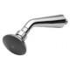 AMSH-603 ABS Rain Shower with Arm