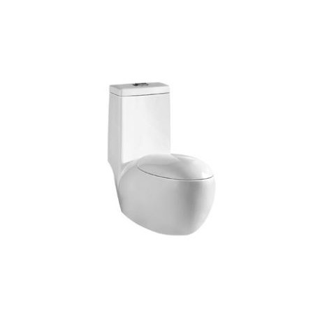 C-609 Siphonic 1 Piece Water Closet