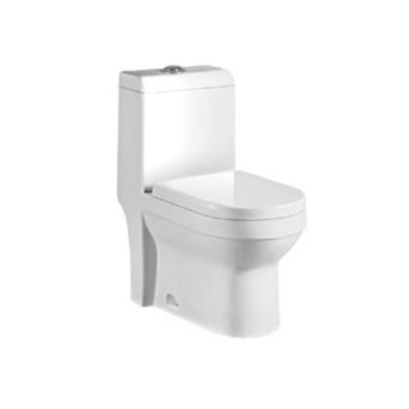 C-621S Wash Down 1 Piece Water Closet