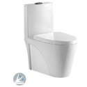 C-636 Wash Down 1 Piece Water Closet