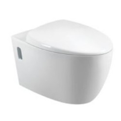 C-203P Wall Hung Water Closet  (Mounting Bracket)