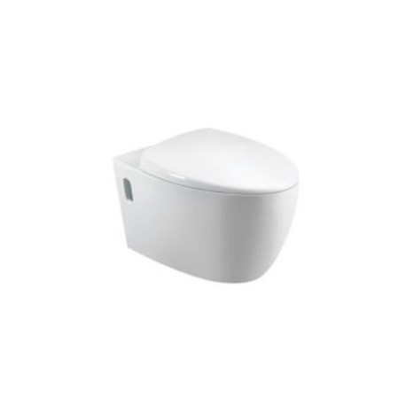 C-203P Wall Hung Water Closet  (Mounting Bracket)